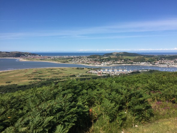North Wales Half Marathon