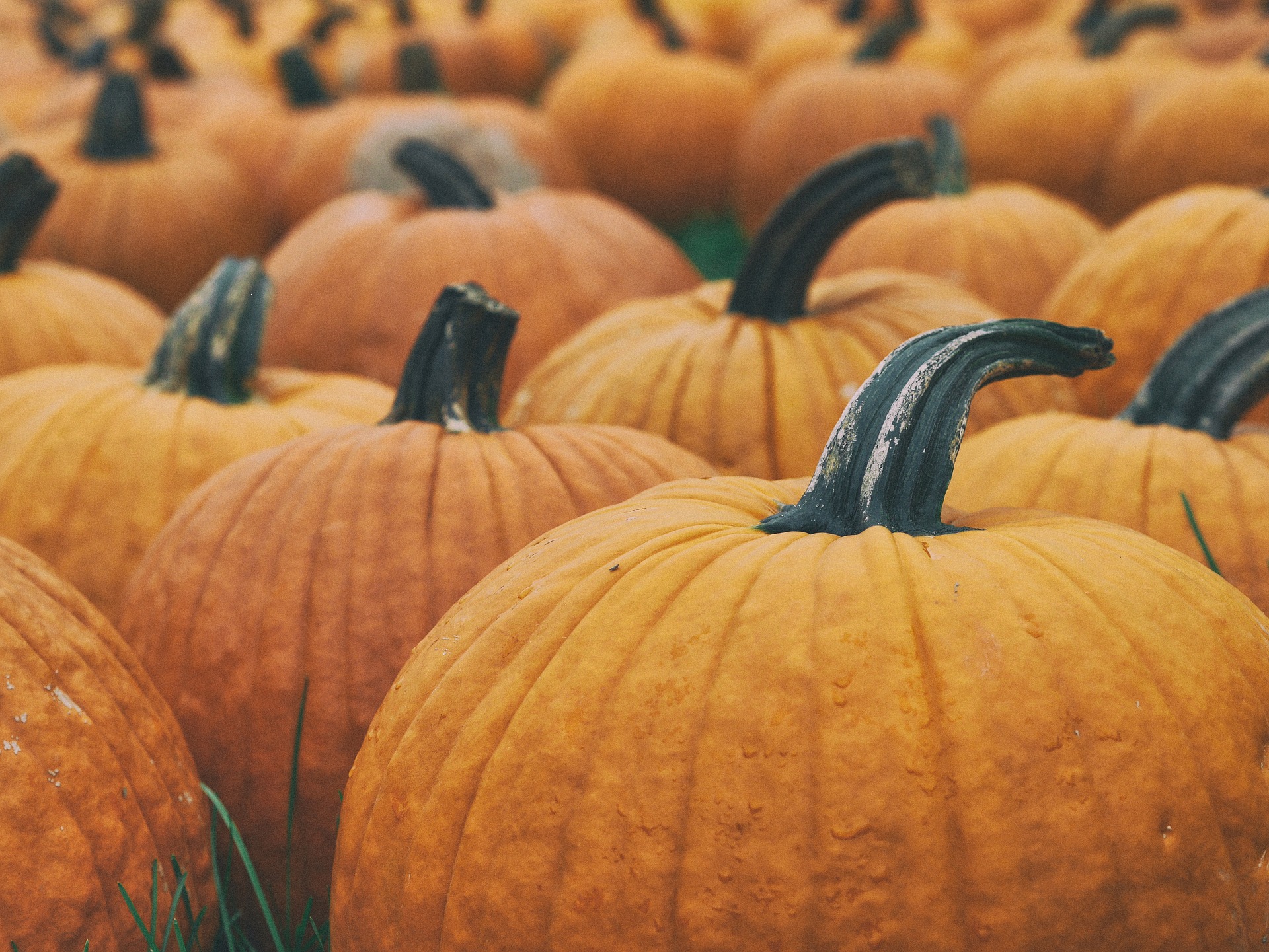 Prestatyn Halloween Spookfest